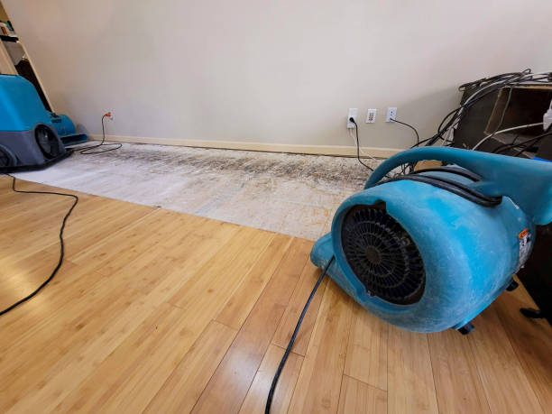 Professional Structural Drying technician working in Bristow, VA